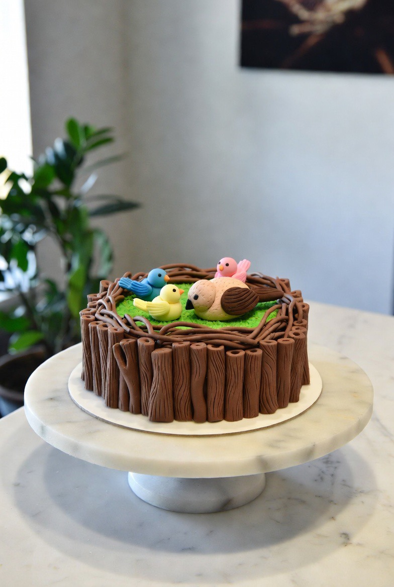 Schokoladentorte in Form eines Vogelnests mit drei Fondant-Vögeln.